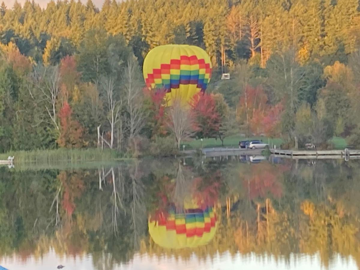 Cottage Lake Bed And Breakfast ウッディンビル エクステリア 写真