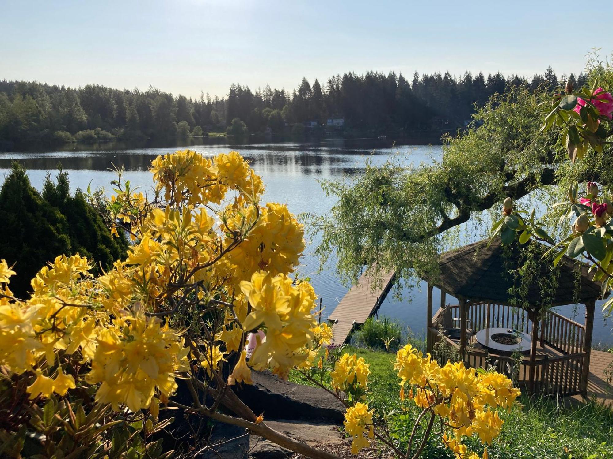 Cottage Lake Bed And Breakfast ウッディンビル エクステリア 写真