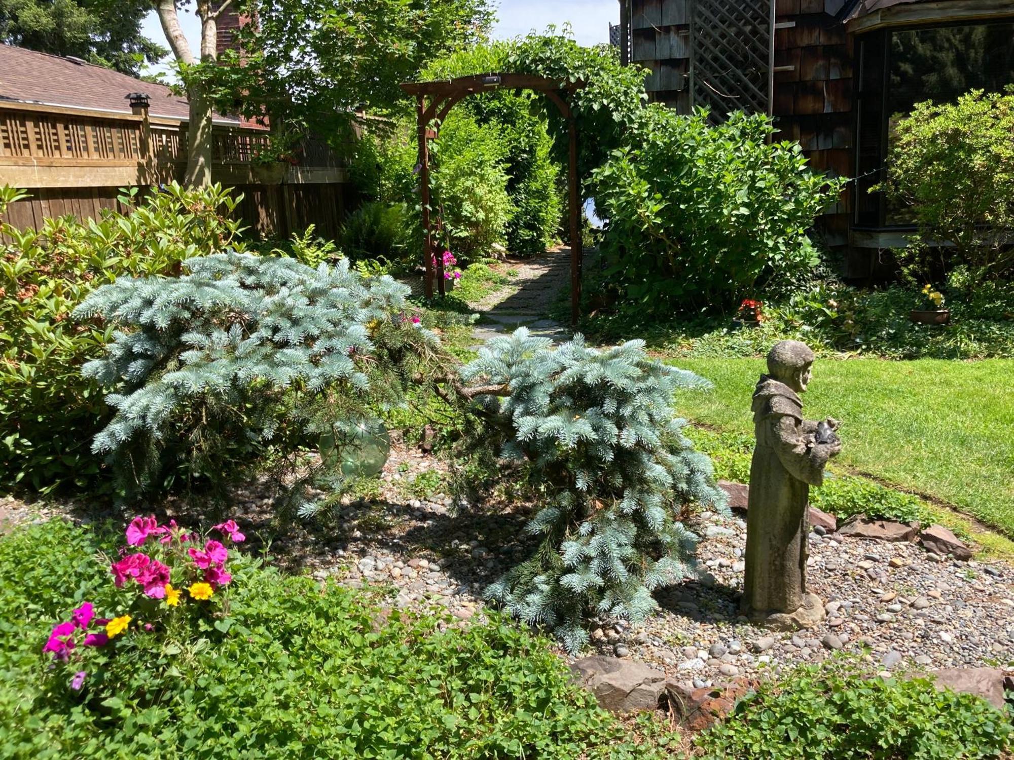 Cottage Lake Bed And Breakfast ウッディンビル エクステリア 写真