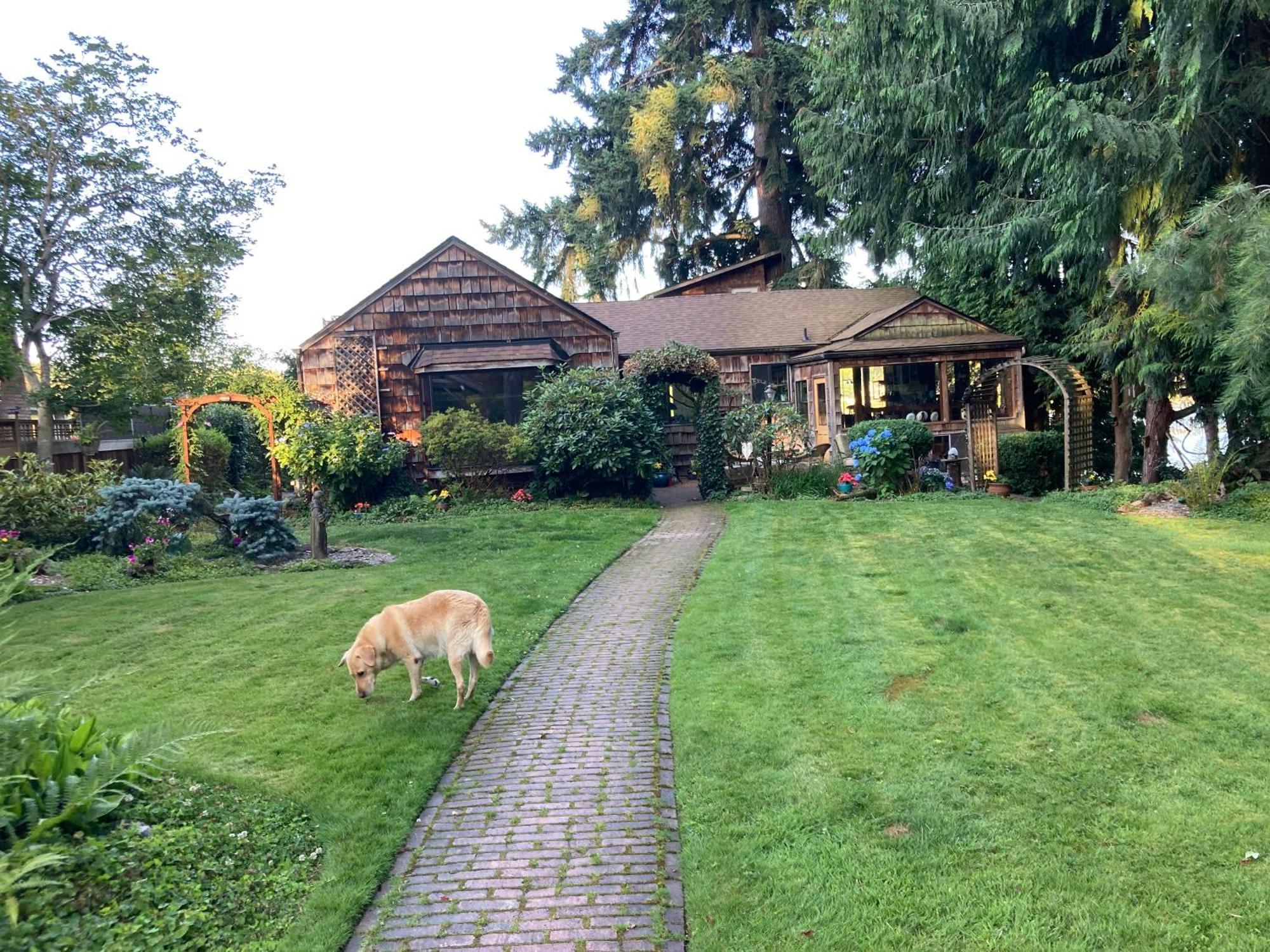 Cottage Lake Bed And Breakfast ウッディンビル エクステリア 写真