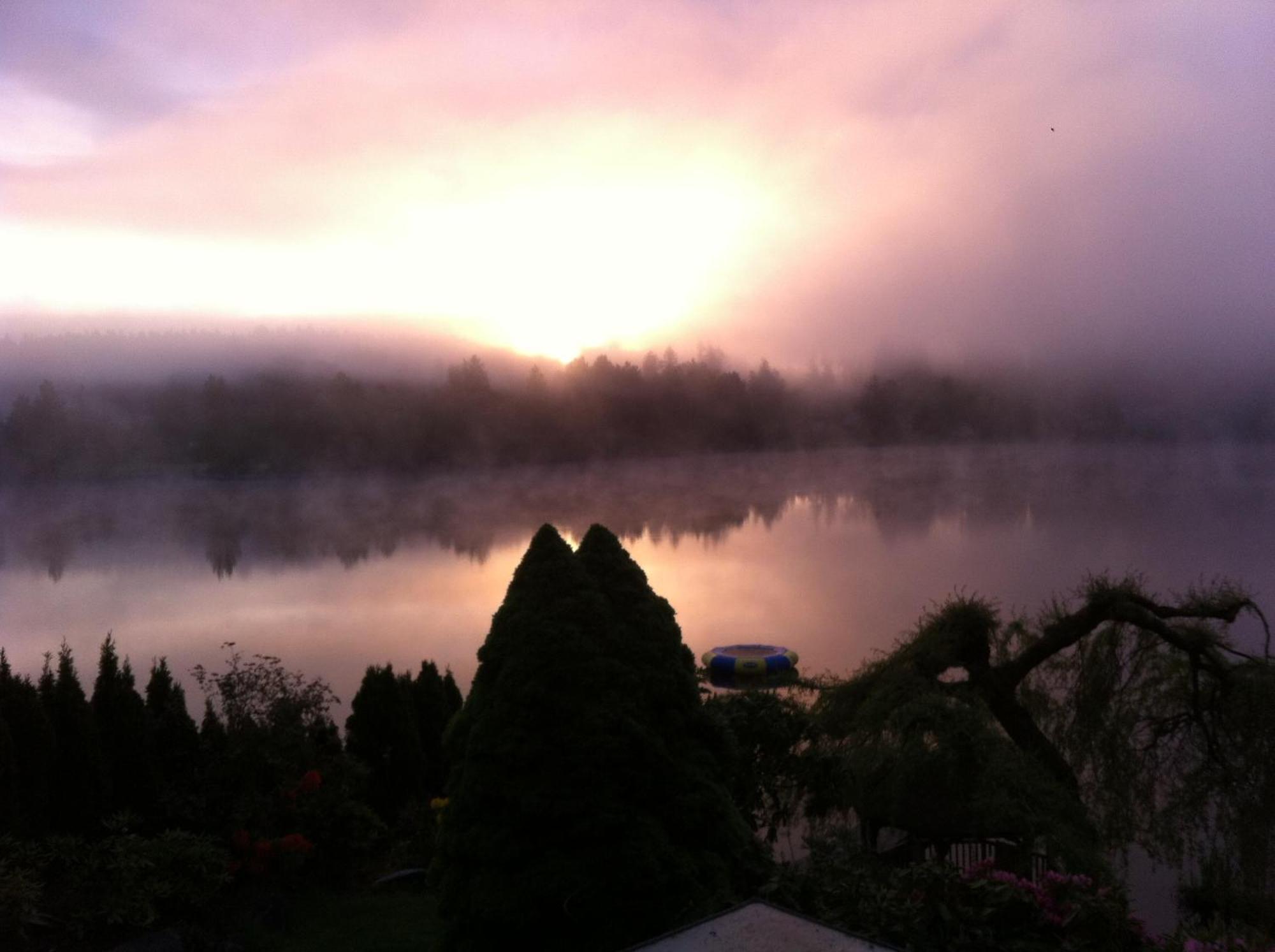 Cottage Lake Bed And Breakfast ウッディンビル エクステリア 写真