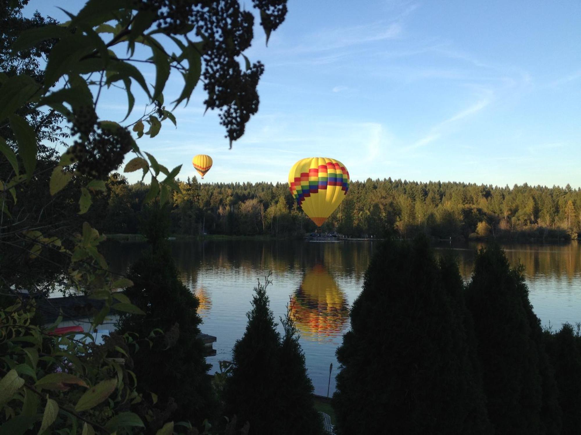 Cottage Lake Bed And Breakfast ウッディンビル エクステリア 写真