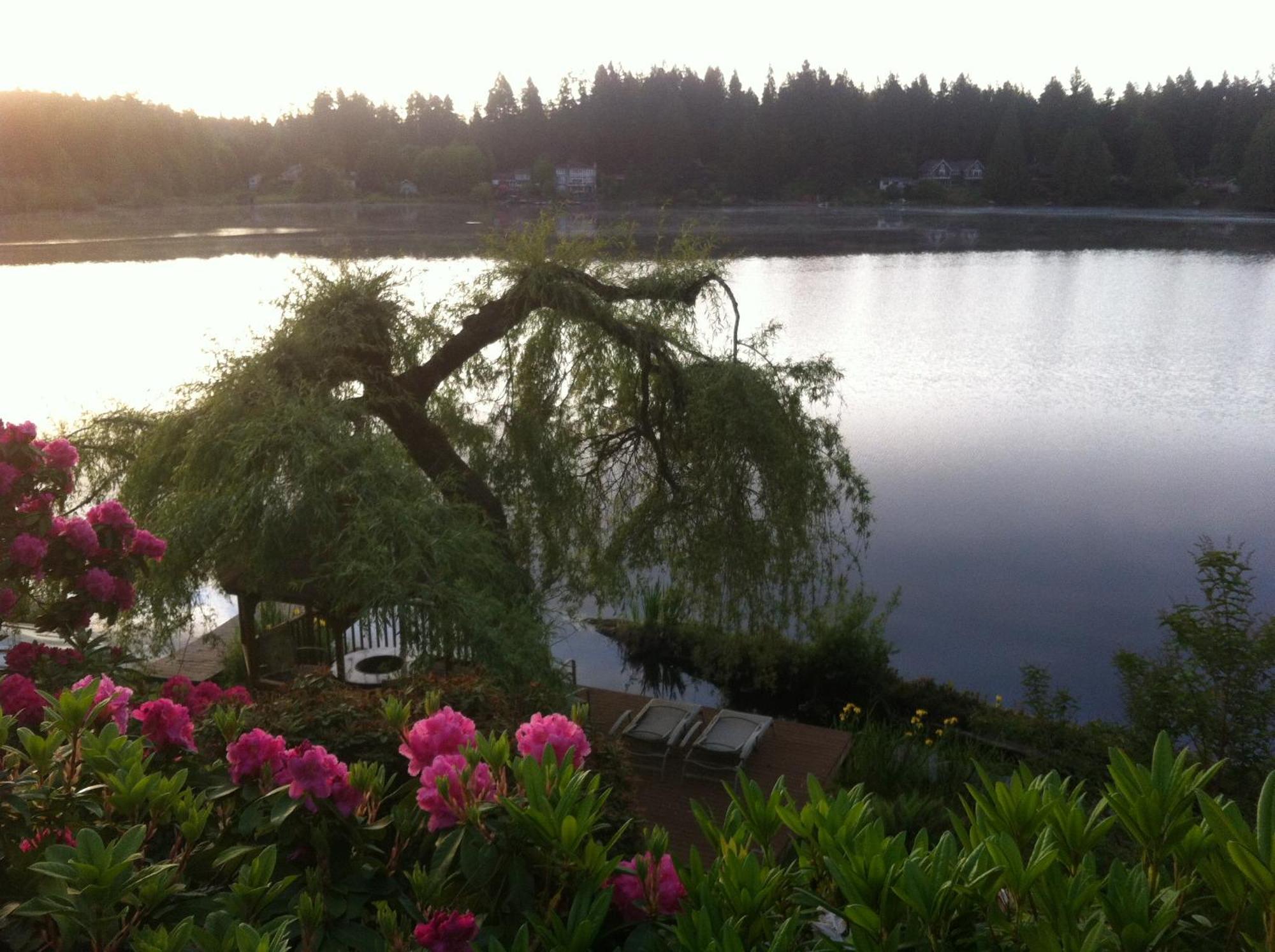 Cottage Lake Bed And Breakfast ウッディンビル エクステリア 写真