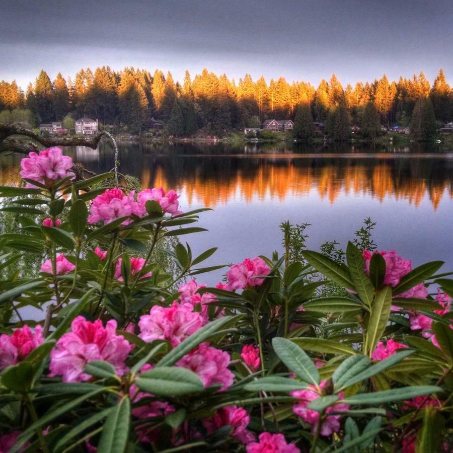 Cottage Lake Bed And Breakfast ウッディンビル エクステリア 写真